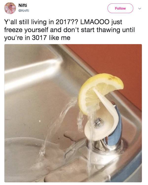 lemon water fountain 