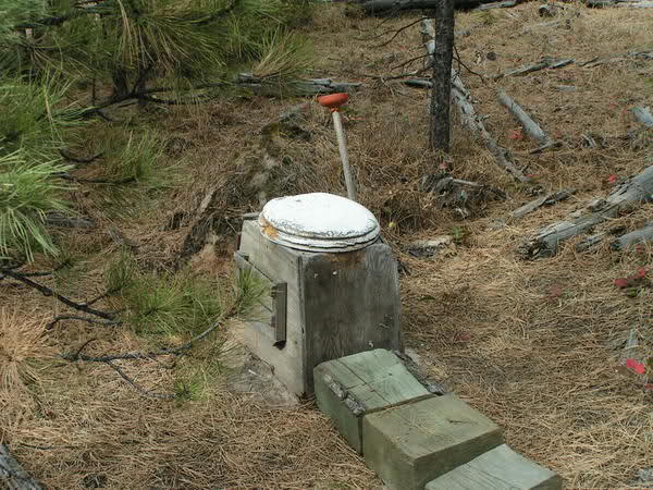 forest toilet 