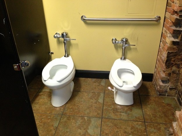 double toilet 