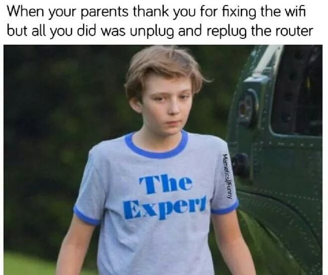 the expert 