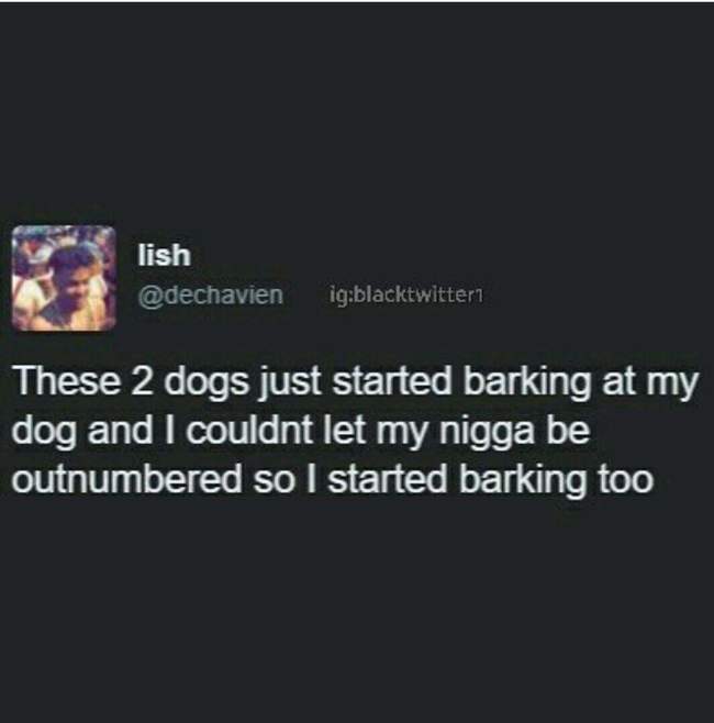 two dogs barking