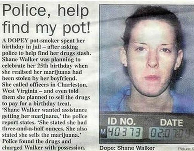 police help find pot 