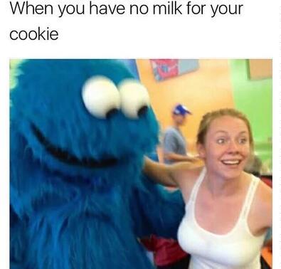 cookie monster 