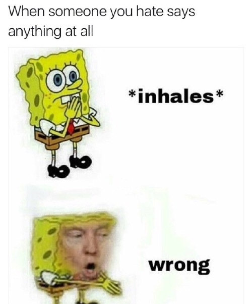 trump wrong 