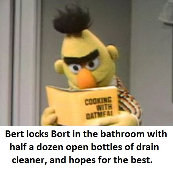 bert locks bort 