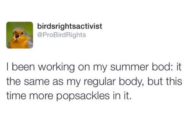 summer body 