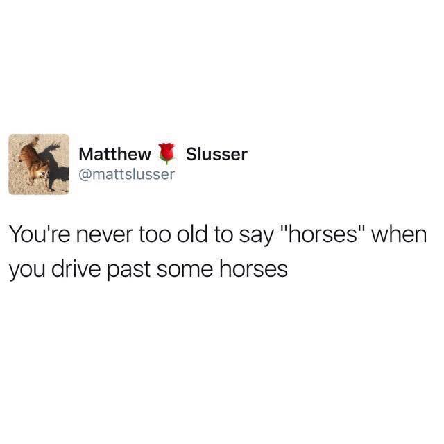 horses