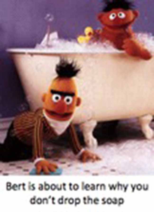 ernie and bert gay sex memes